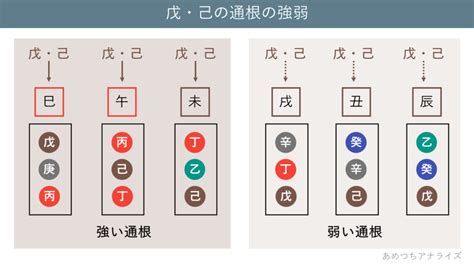 通根|【四柱推命：通根の見方①】基本の通根の取り方を解。